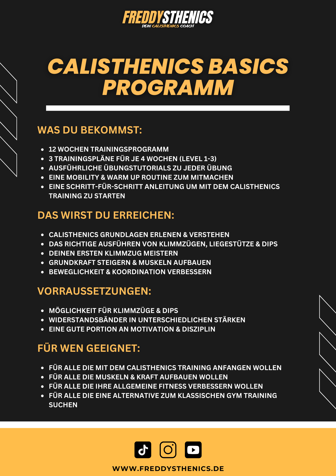 CALISTHENICS BASICS 2.0