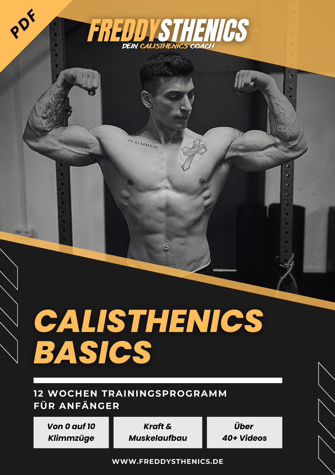 CALISTHENICS BASICS 2.0