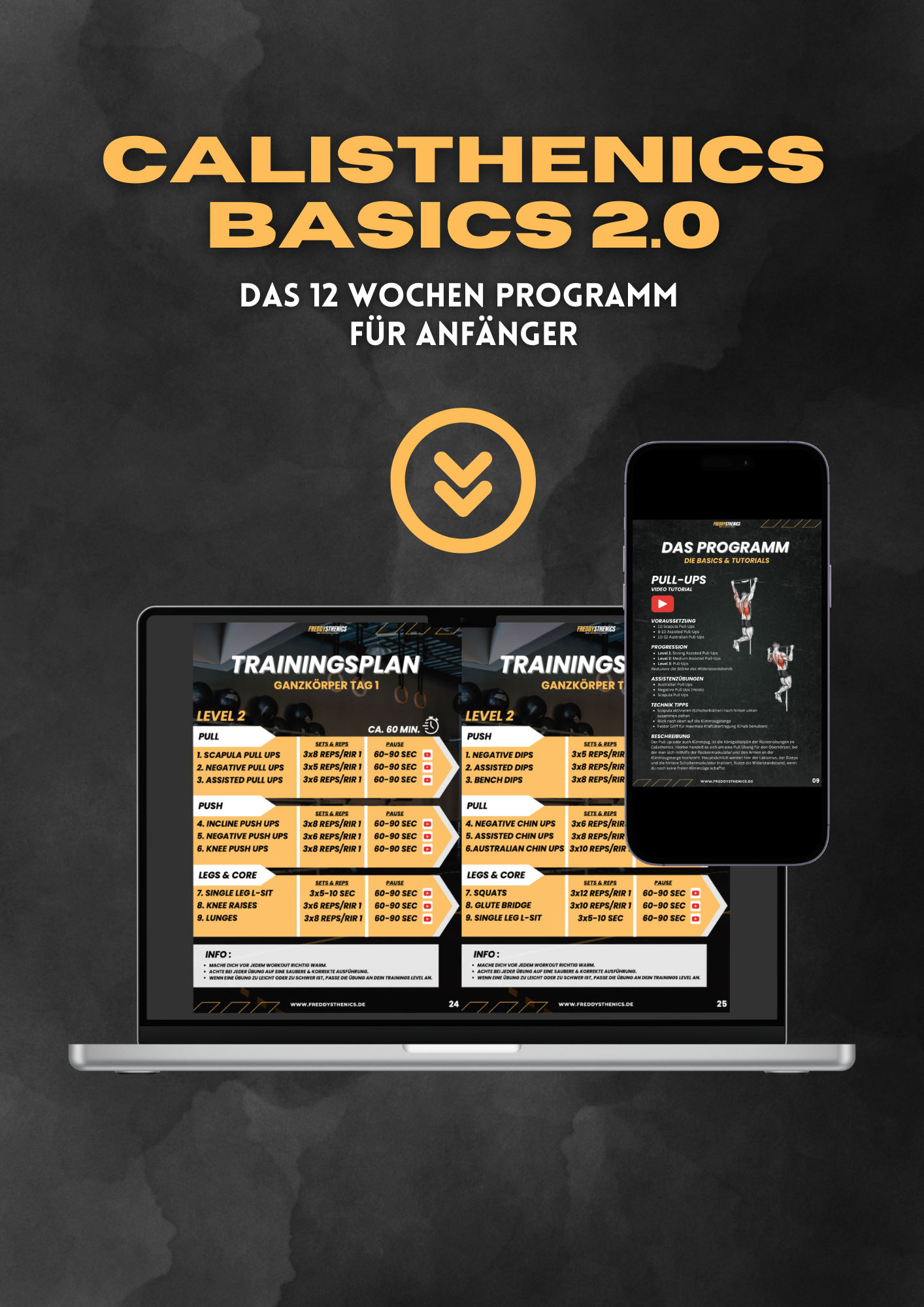 CALISTHENICS BASICS 2.0